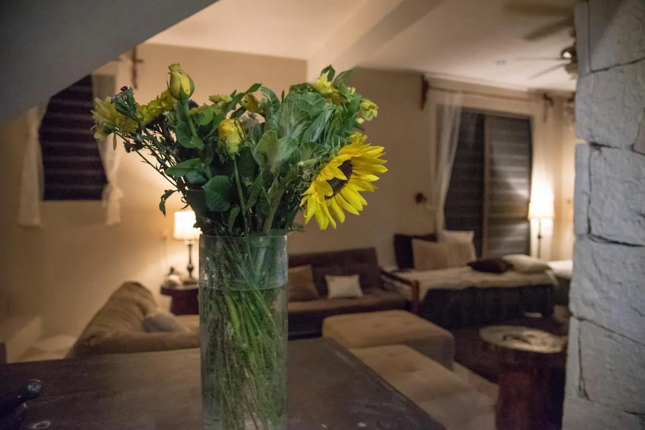 Hokhmah Heart Hotel Puerto Morelos 3*,