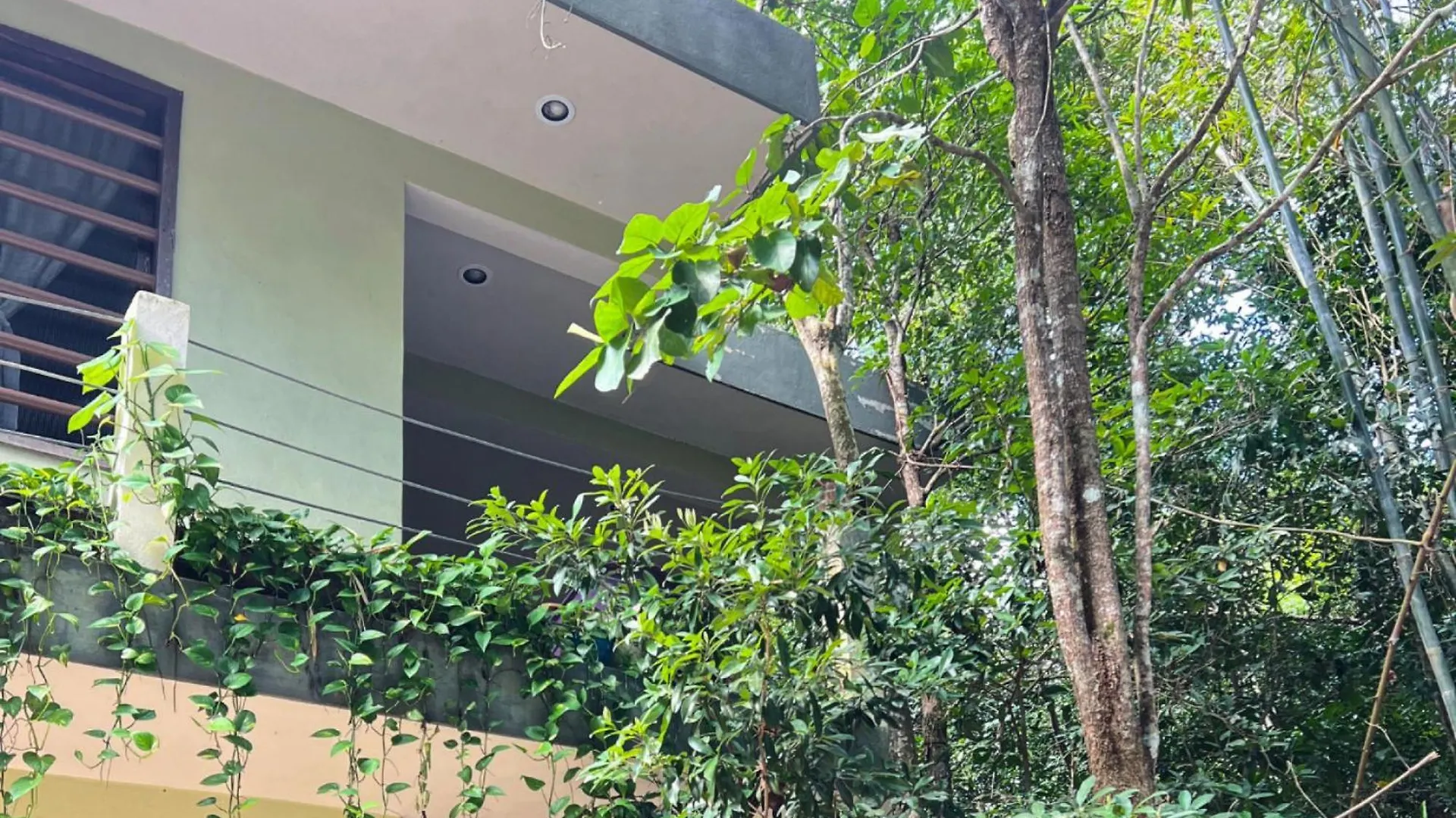 Hokhmah Heart Hotel 푸에르토 모렐로스