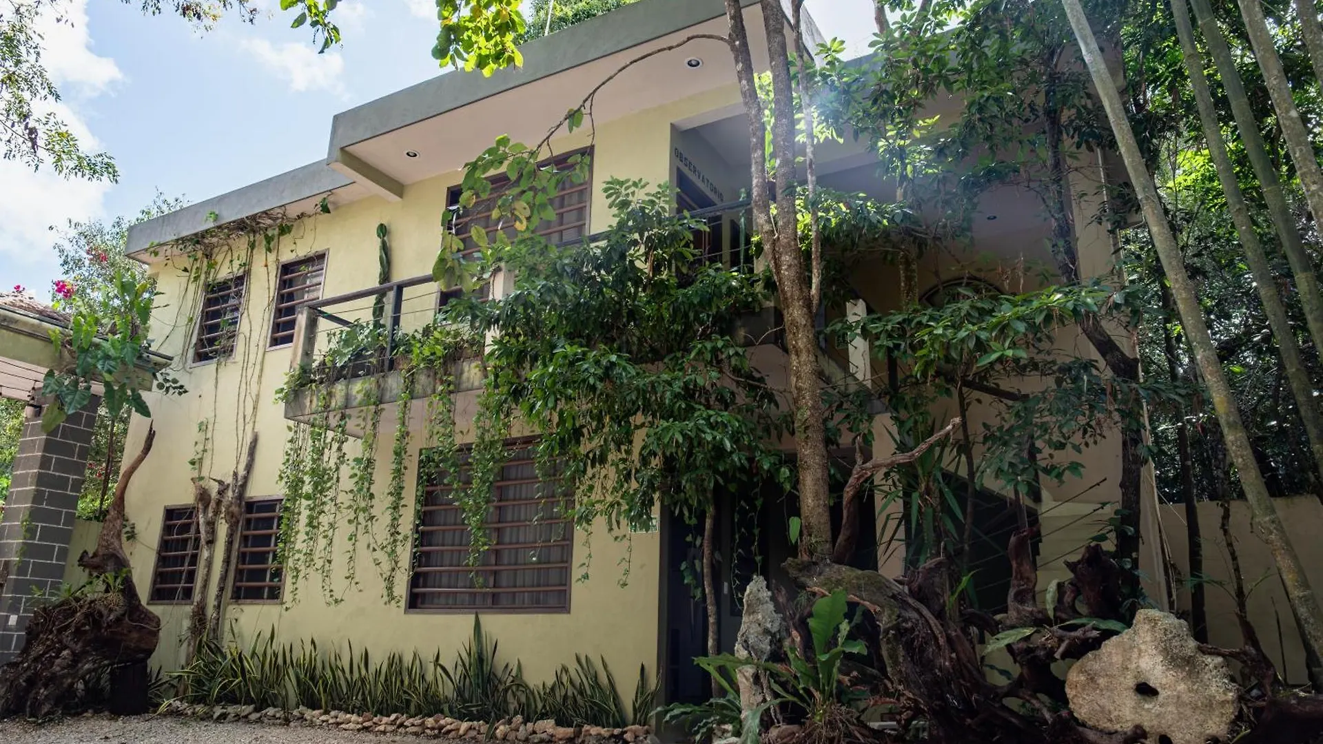 Hokhmah Heart Hotel 푸에르토 모렐로스 멕시코
